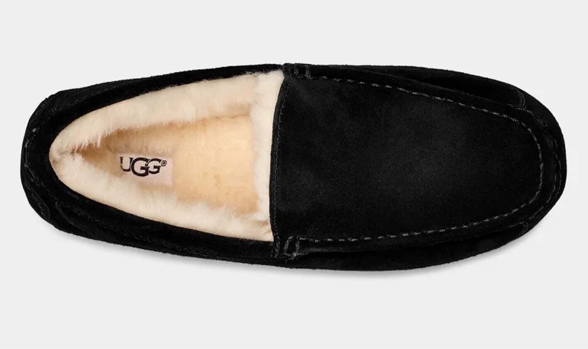 Schoeisel, Schoen, Suede, Sneaker, Canvas, Schoeisel, Schoen, Suede, Sneaker, Canvas