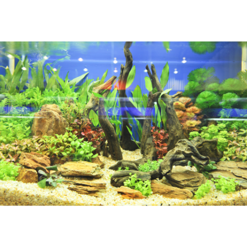 Aquarium accessoires