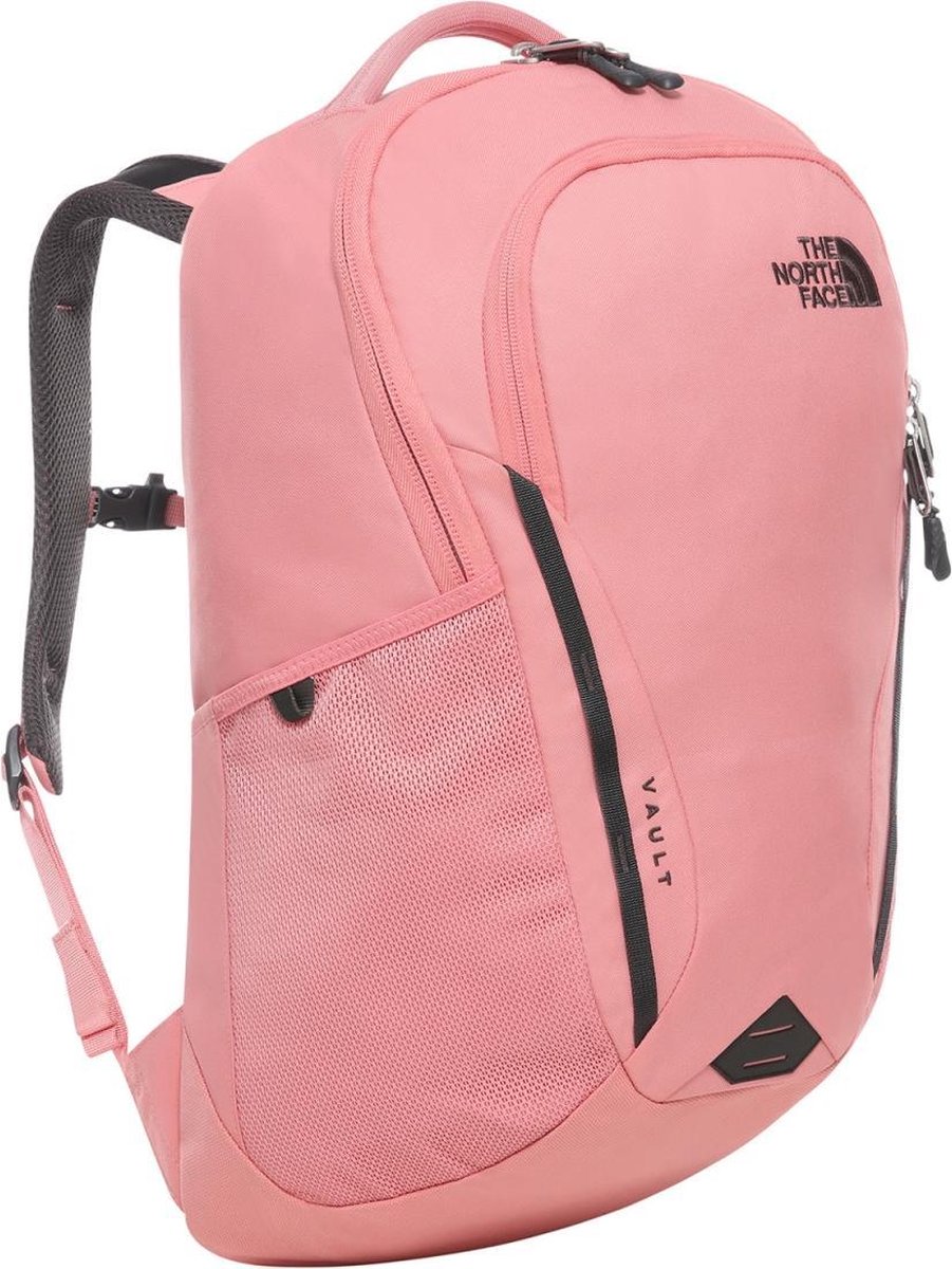 rugzak, rugzak met verloop, laptopvak, mesh-stroom, nieuwe kleur roze