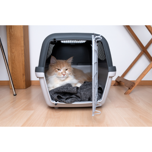 Kattenbakken & Reismanden
