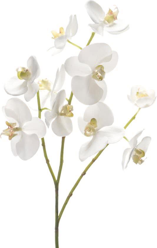 Emerald - Phalaenopsistak - Orchidee - Kunstbloem - 60 cm - Wit