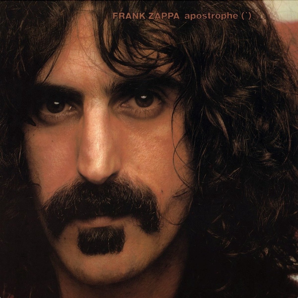 portret, zwarte-beard, lange-haar, donker-bruine-hair, frank-zappa-apostrophe