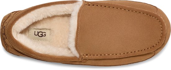 Kleding, Schoeisel, Schoen, Sneaker, Suede