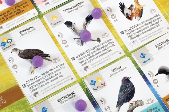 Wingspan uitbreiding Europa Bordspel