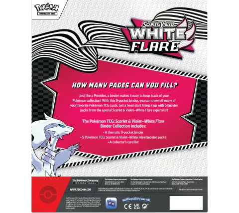 Advertentie, Poster