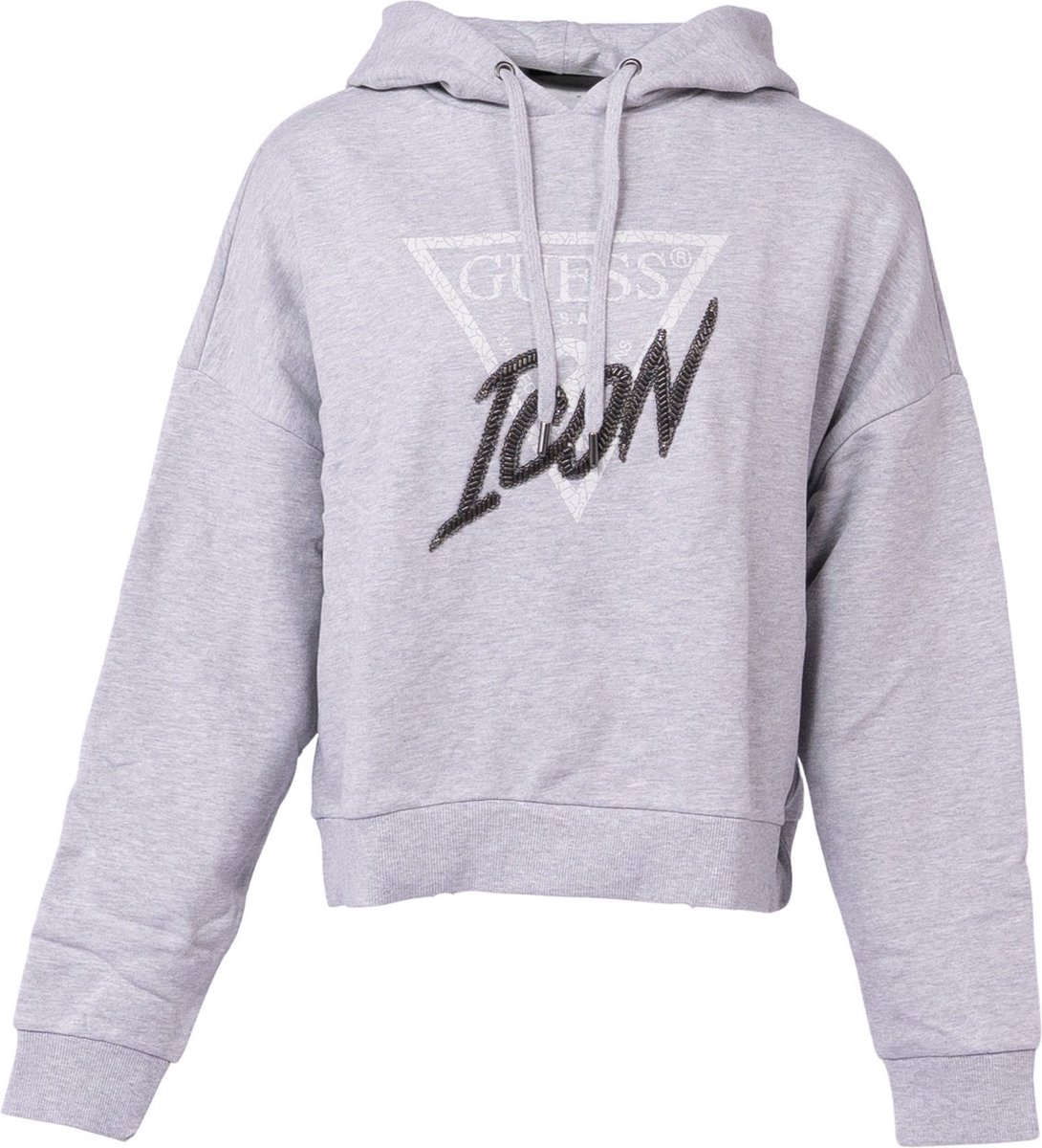 Breigoed, Trui, Sweatshirt, Capuchon