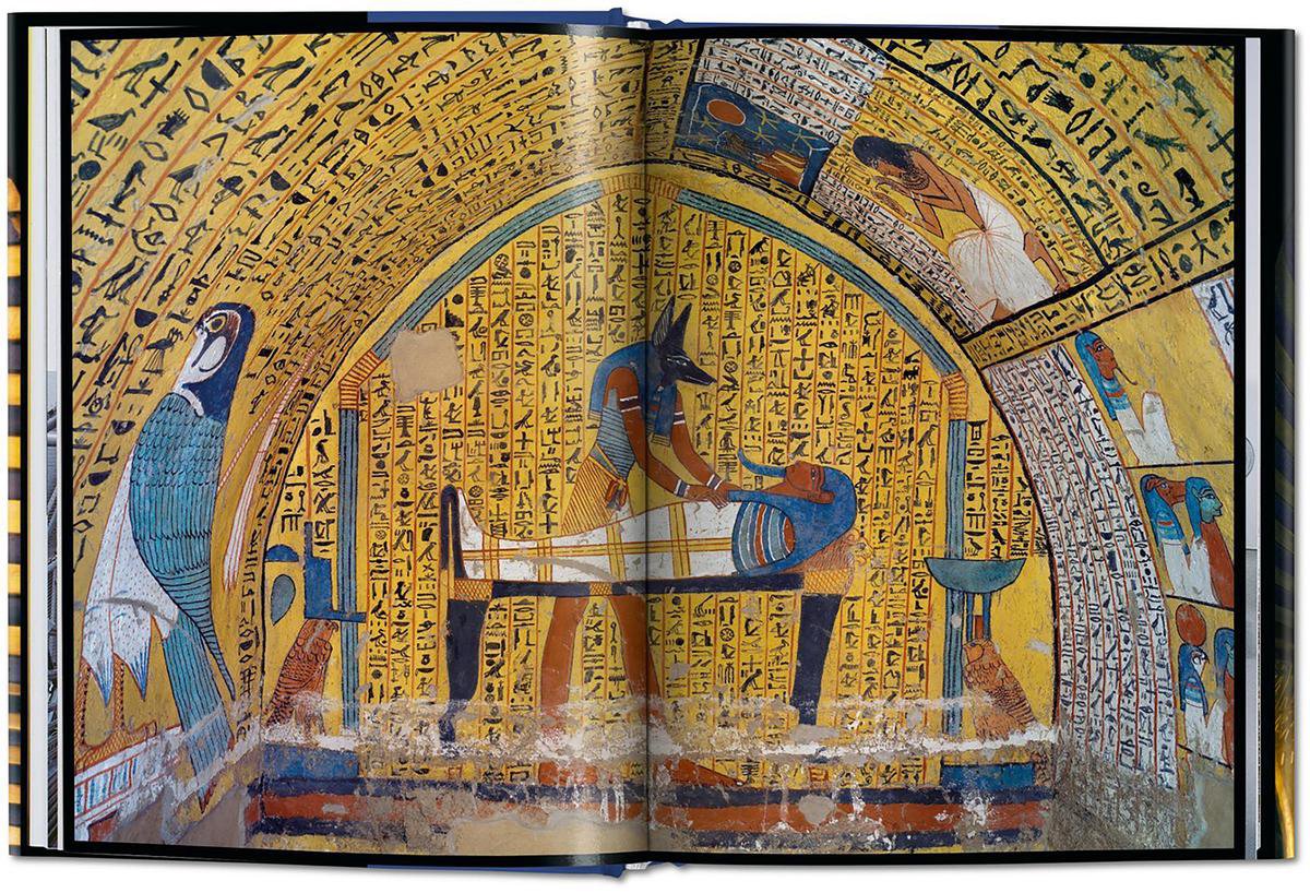 King Tut. The Journey through the Underworld Boek