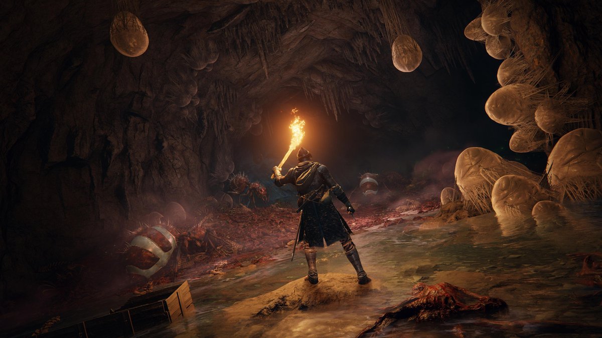 Elden Ring - Day One Edition - Xbox Series X & Xbox One