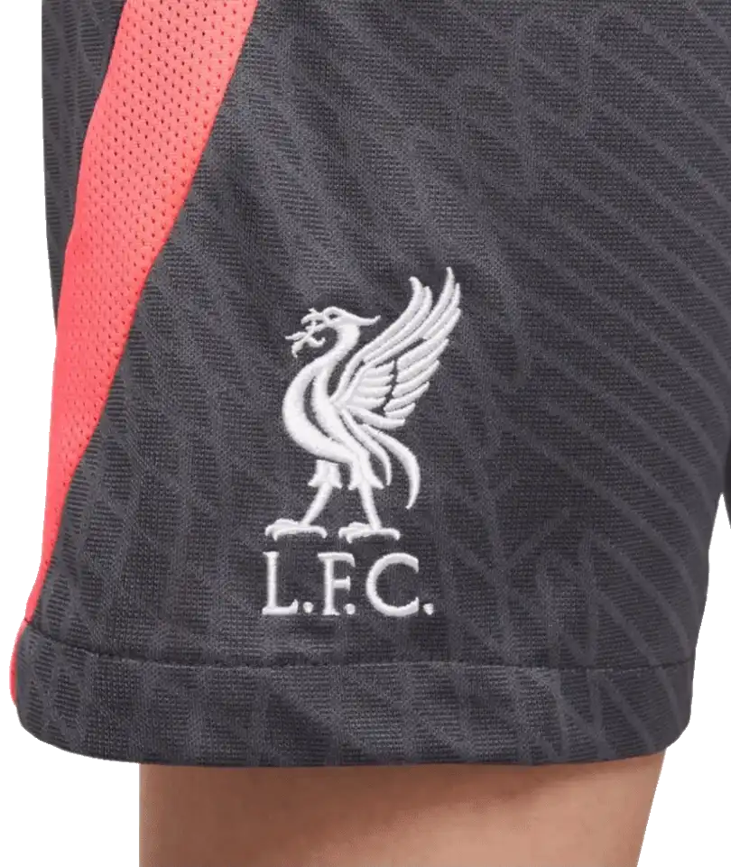 Nike - Maat S (kinder) 128-137 - Liverpool FC 23/24 Strike Kids' Voetbalshorts - Grijs