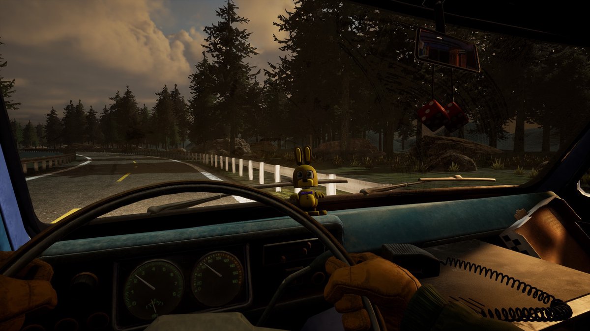 Auto, vervoer, Voertuig, Plant, Boom