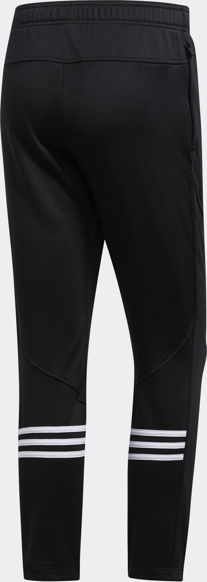 Kleding, Broeken, Korte broek, Jas