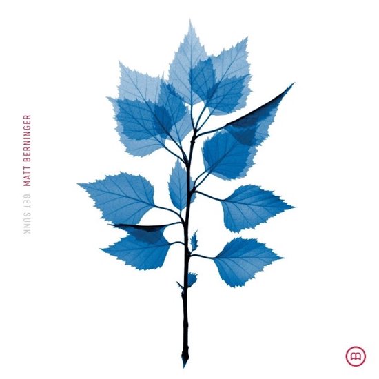 Blad, Plant, Kruiden, Boom, esdoorn