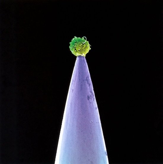 Real World Peter Gabriel-CD