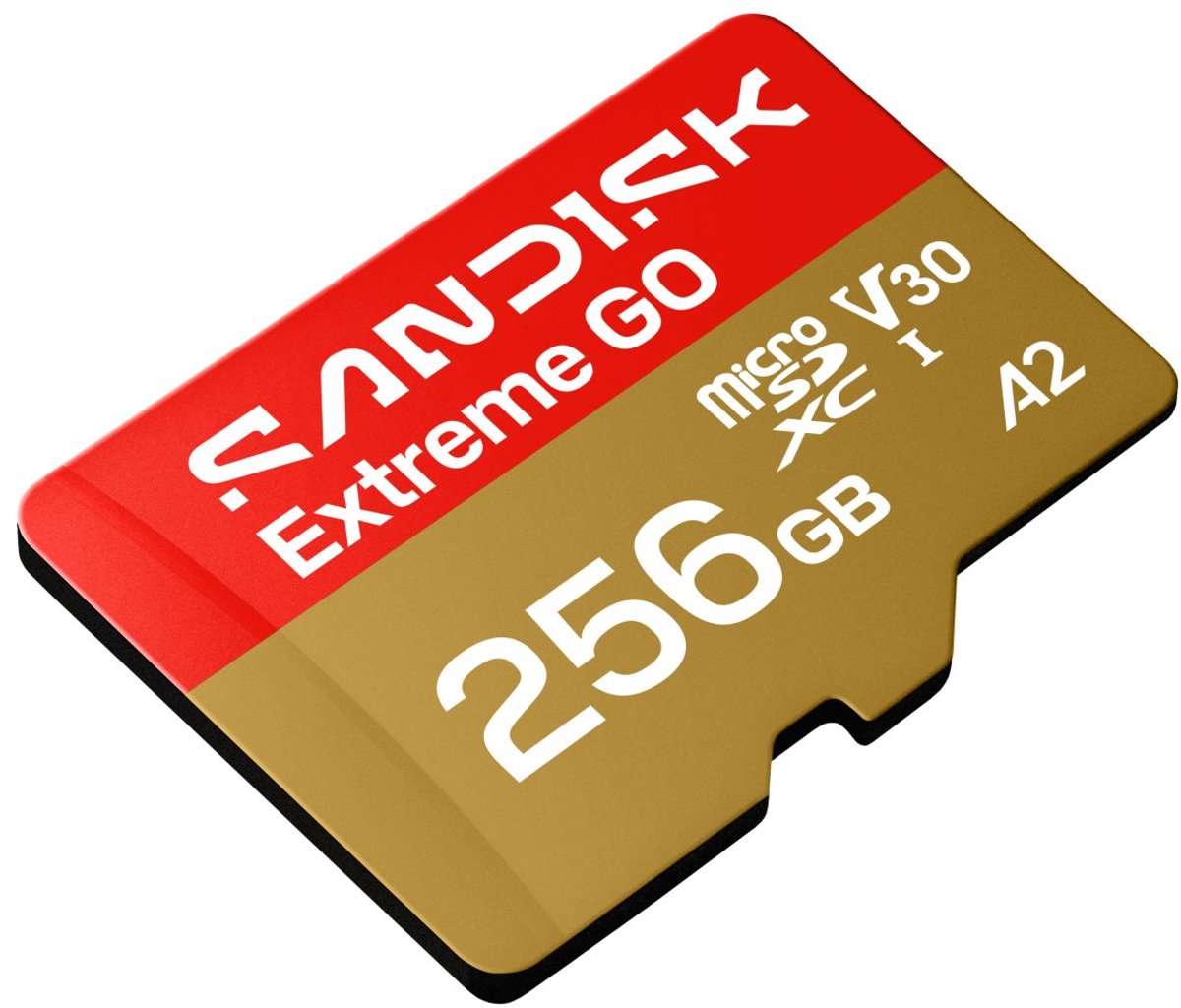 SanDisk Extreme GO microSDXC-kaart 256 GB UHS-I U3 Temperatuurbestendig