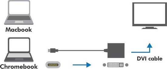 Premium USB-C naar DVI adapter met DP Alt Mode (1920 x 1200) - zwart - 0,20 meter