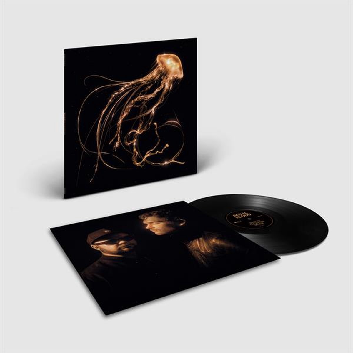 Royal Blood - Back to the Water Below LP