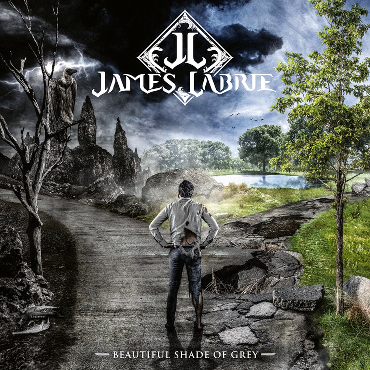 James LaBrie - Beautiful Shade of Grey LP