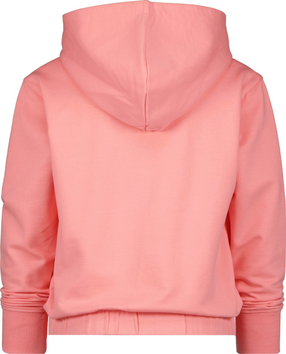 Breigoed, Trui, Sweatshirt, Capuchon