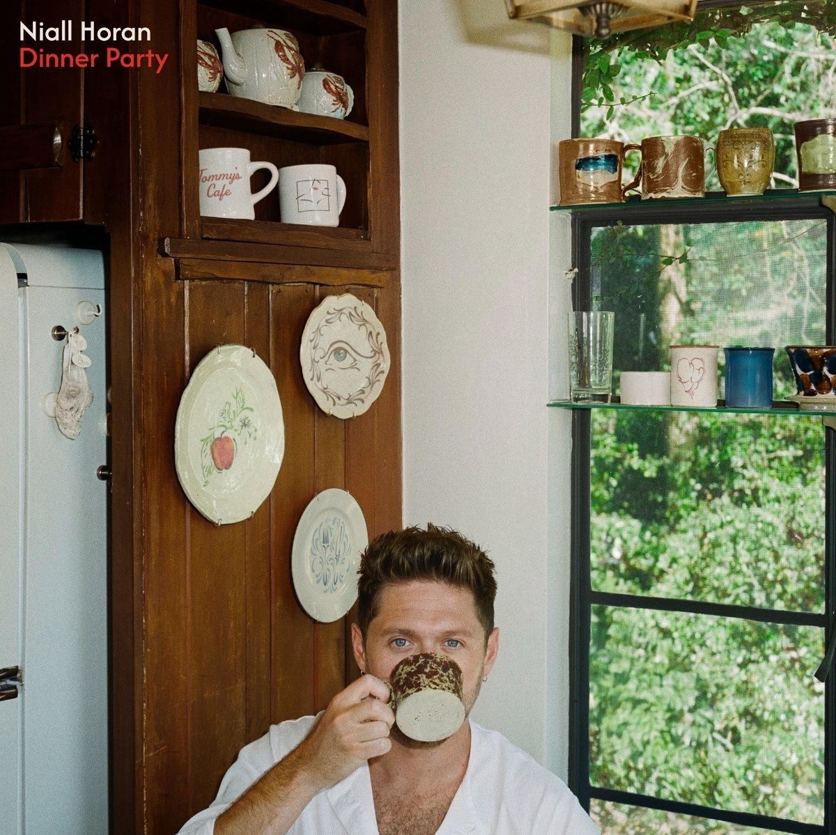 Niall Horan - Dinner Party (LP) (Coloured Vinyl)