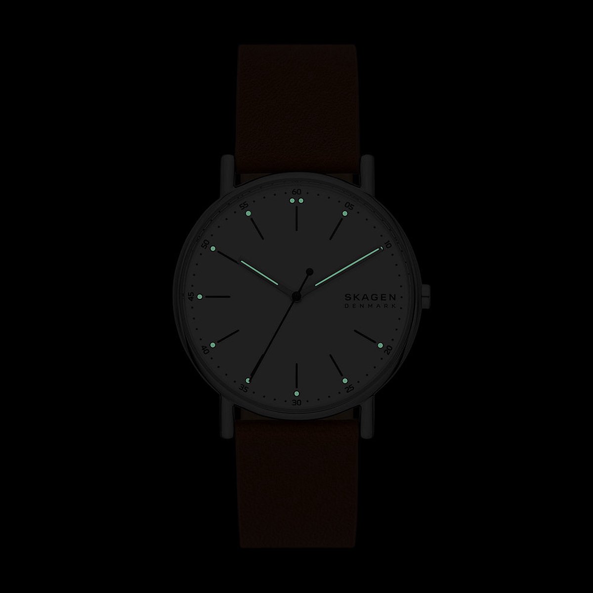 Skagen SKW6903 Mannen Horloge 40 mm - Bruin