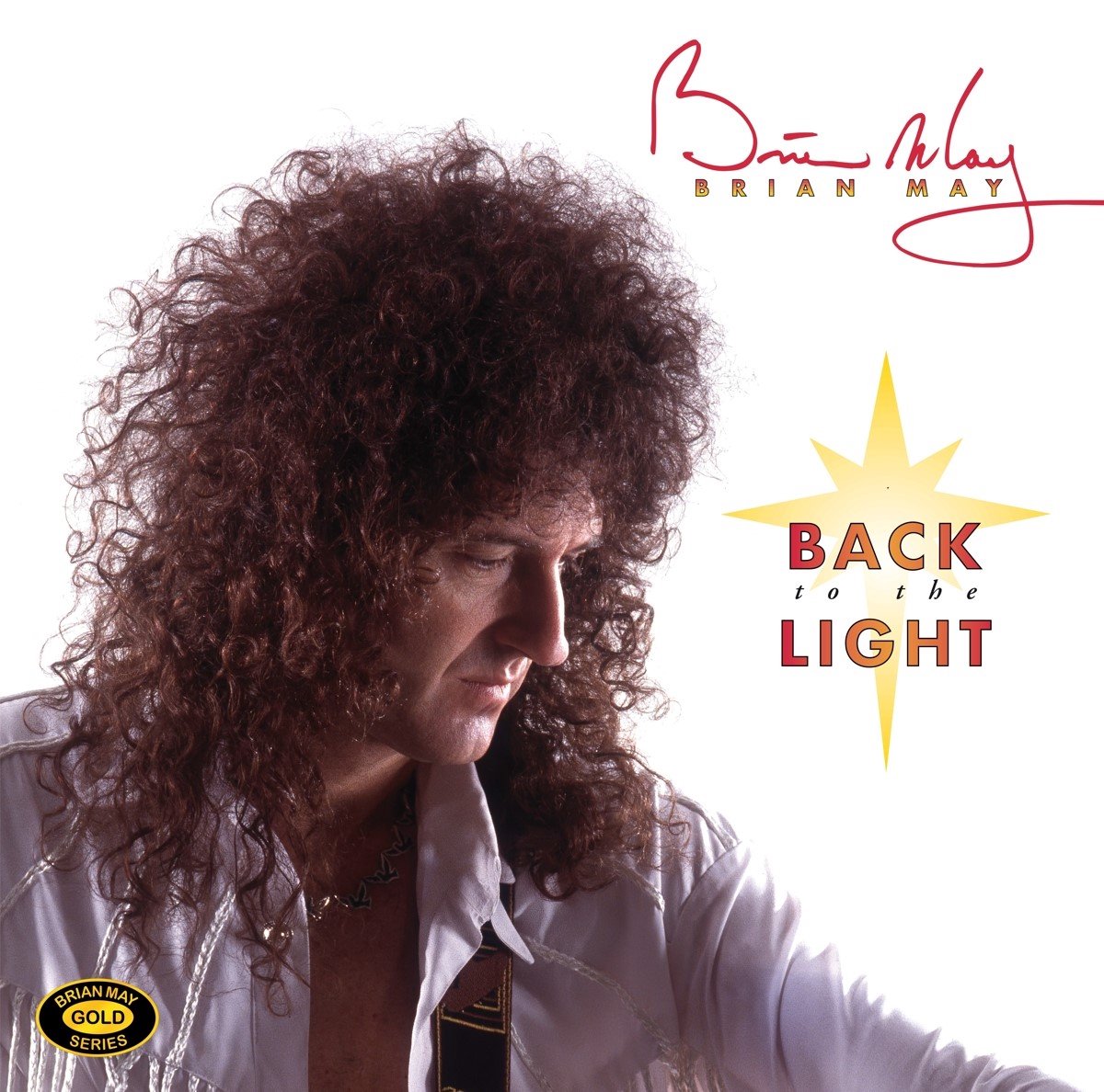 gitarist, lange krullen, gitaarkleding?, back to the light, album cover
