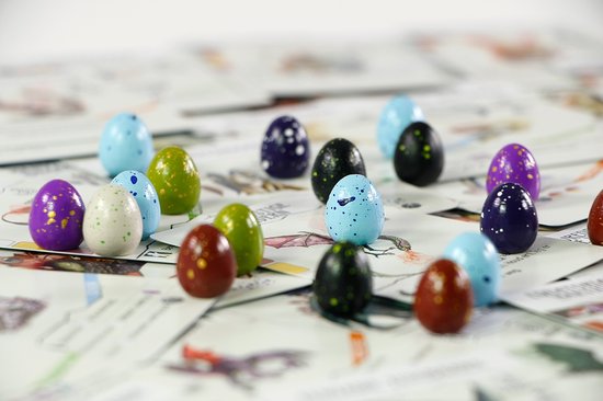 999 Games - Wyrmspan - Bordspel - Indrukwekkend artwork - Winnaar Speelgoed van het Jaar - Ook voor
