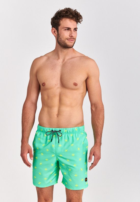 man, shirtless, swim trunks, swim shorts, green shorts, drawstring, patterned, palmtree pattern