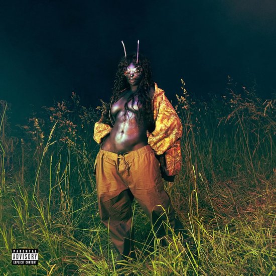 Fotografie, Persoon, Portret, Gras, Vegetatie