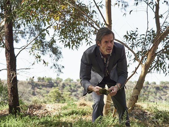 Jack Irish seizoen 2 (DVD)