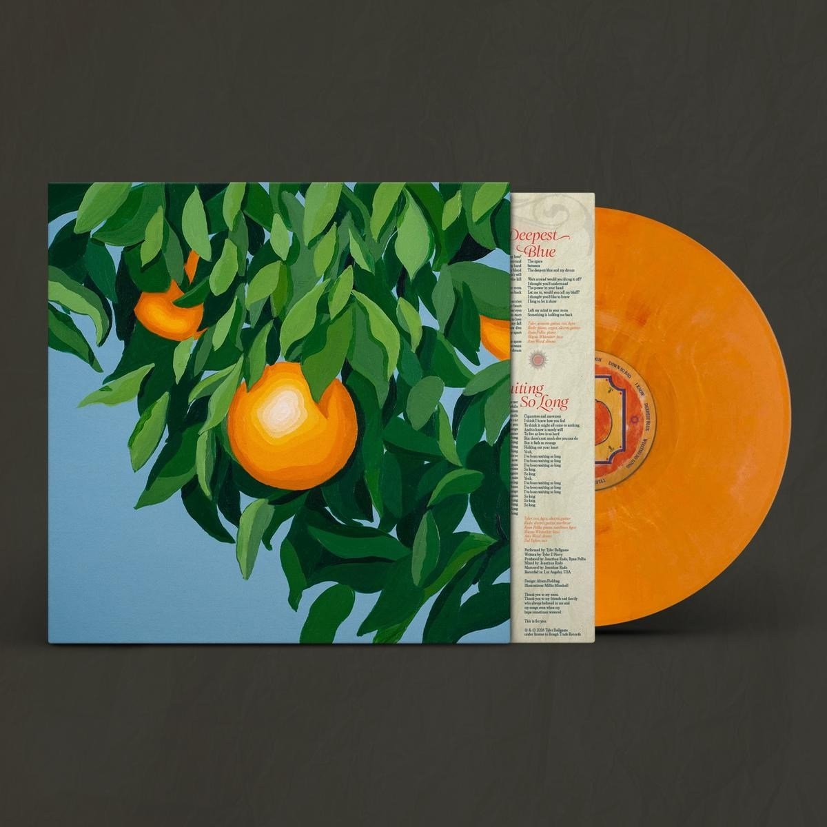 vinyl, oranje vinyl, oranje plaat, groove, albumhoes