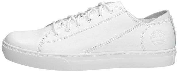 sneaker, wit, canvas, laagmodel, veters