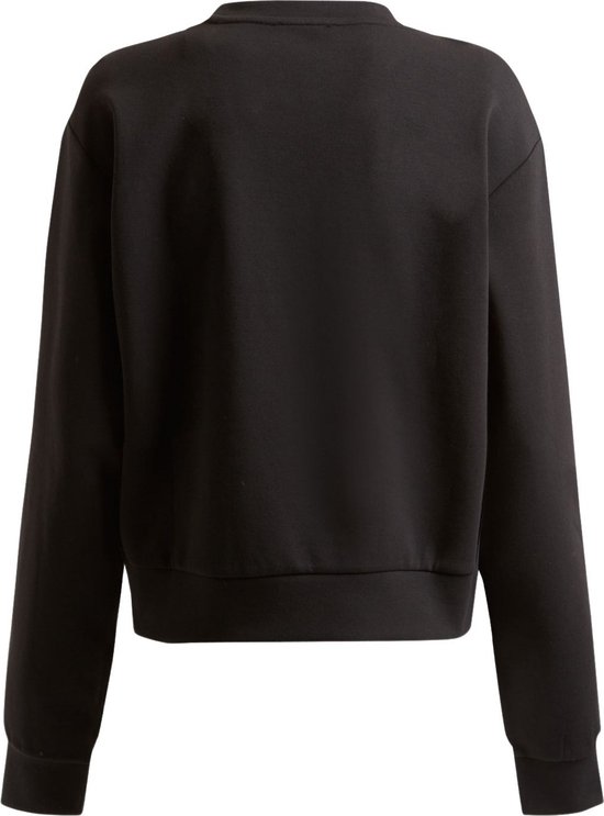 Breigoed, Trui, Sweatshirt, Capuchon, Jas