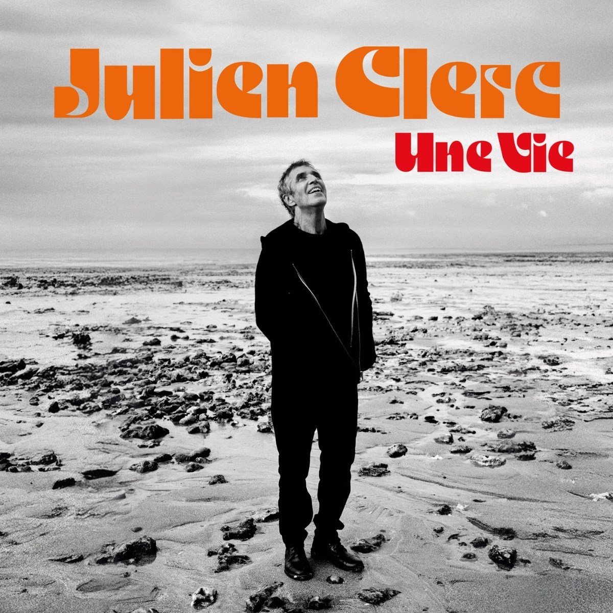 Julien Clerc - Une Vie - LP