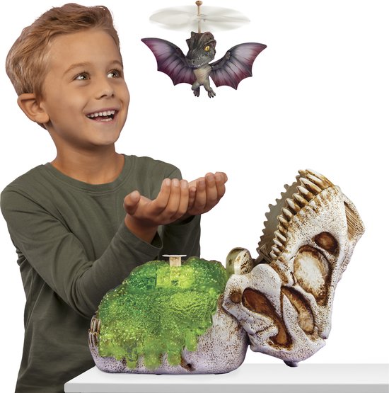 Jongen, Kind, Mannelijk, Persoon, Jongen, Kind, Mannelijk, Persoon