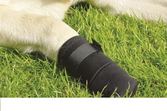 Beeztees Beschermingsschoen - Hond - Zwart - S - 2ST