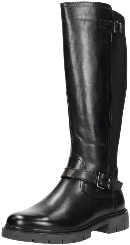 Laars, Kleding, Schoeisel, Rijlaars, Schoen