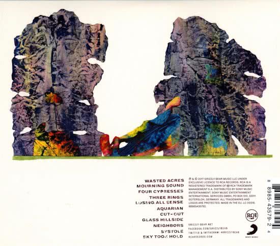 Grizzly Bear - Painted Ruins - DigiPack CD