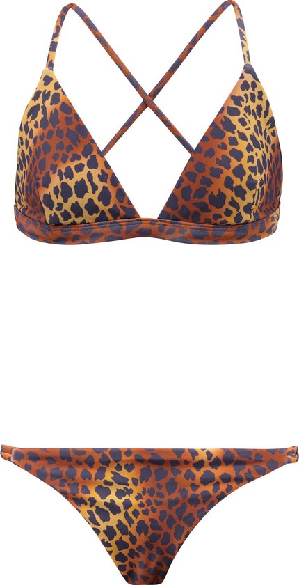 Pebbly-Triangle-terra-140 Barts - 140 - Pebbly Triangle - Terra