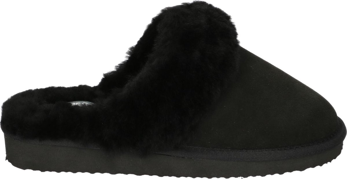 Schoeisel, Schoen, Beer, Wilde dieren, Suede