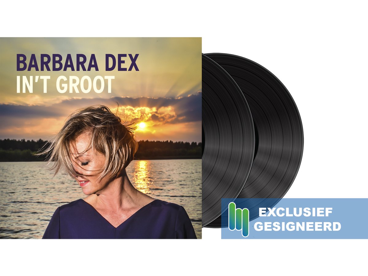 vinyl, album, double lp, lp cover, vrouwportret