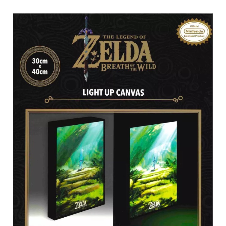 Zelda - Master Sword - Light Canvas - 30x40