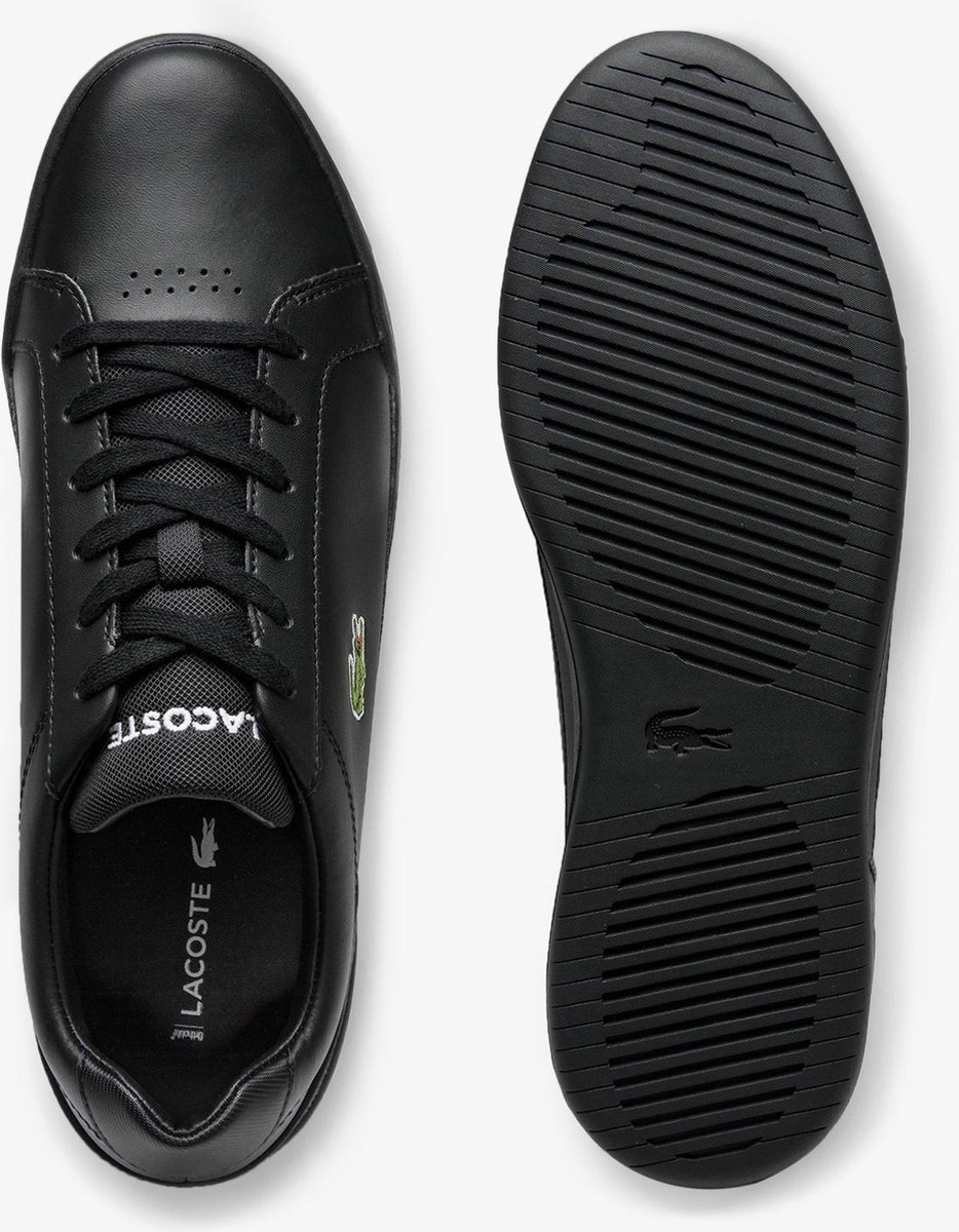 Kleding, Schoeisel, Schoen, Sneaker