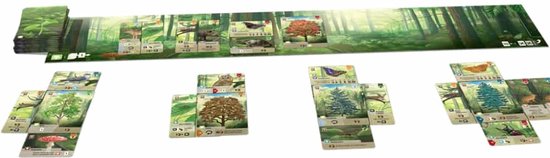 bordspel, kaarten, bos-thema, groen, tafelspel