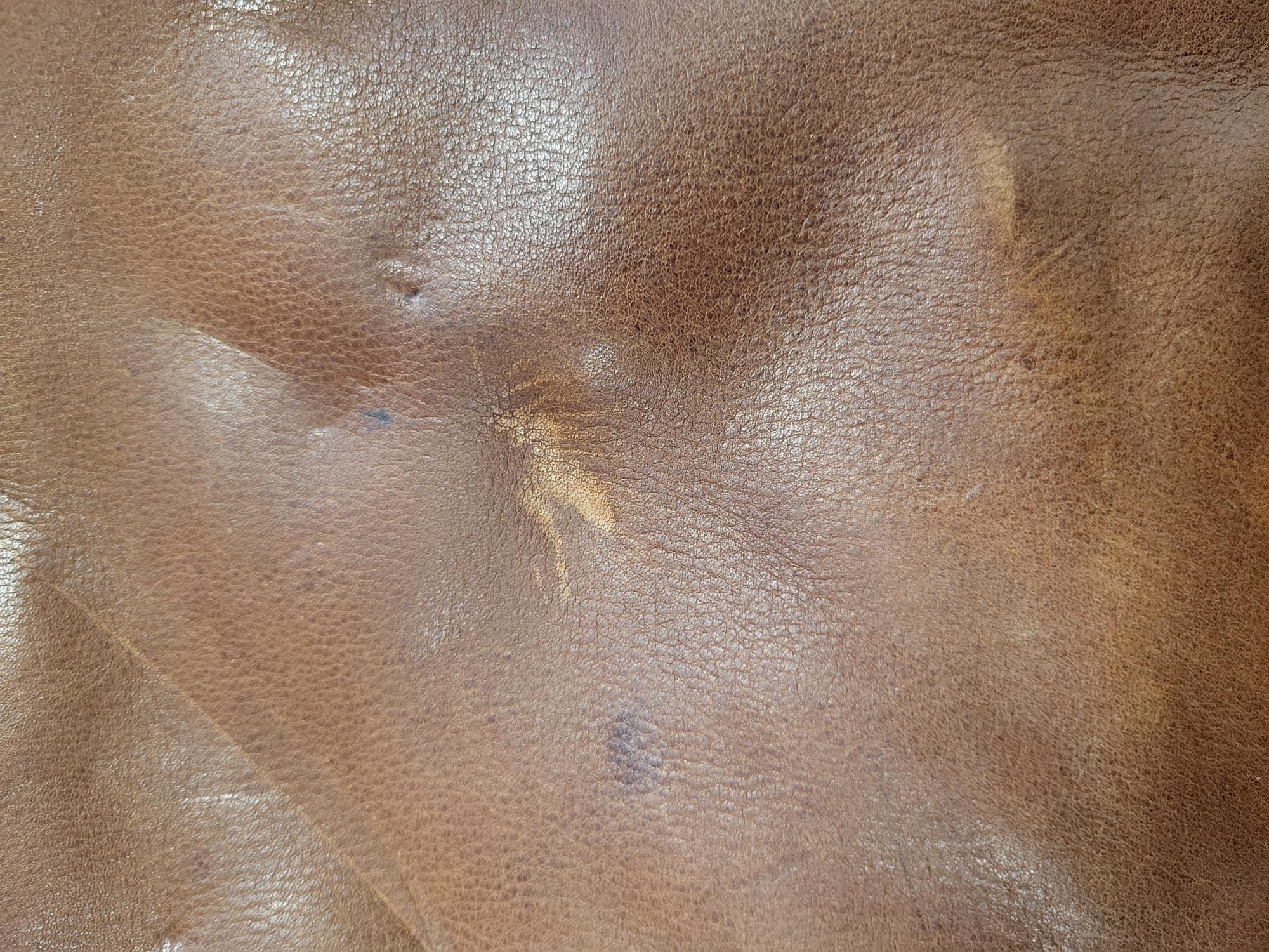 Micmacbags Wildlife Handtas - Bruin