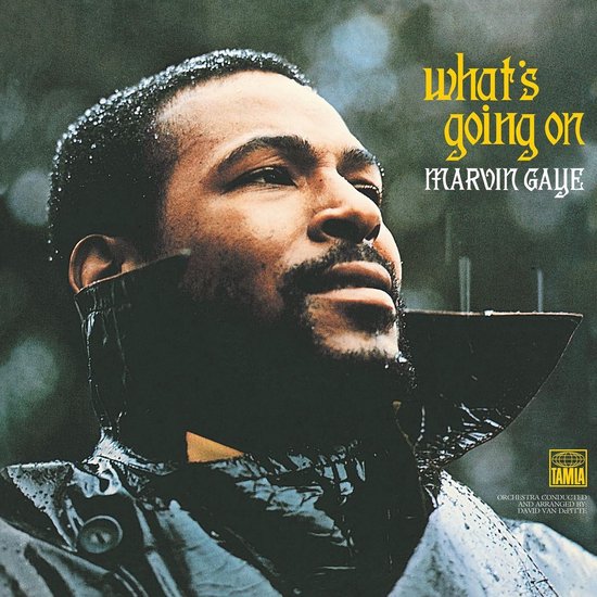 Marvin Gaye - What'S Going On (LP)