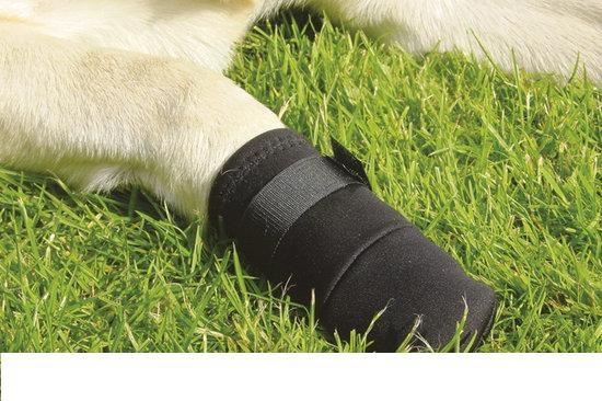 Beeztees Beschermingsschoen - Hond - Zwart - S - 2ST