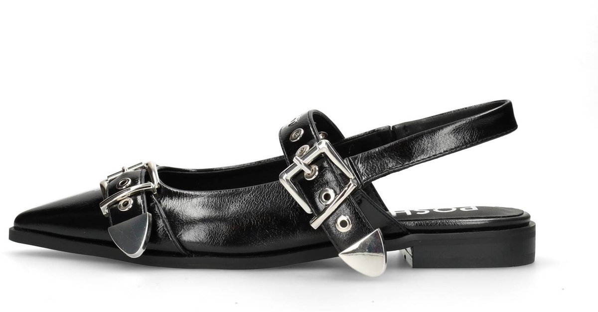 Schoen, Sandaal, Accessoires, Gesp, Riem