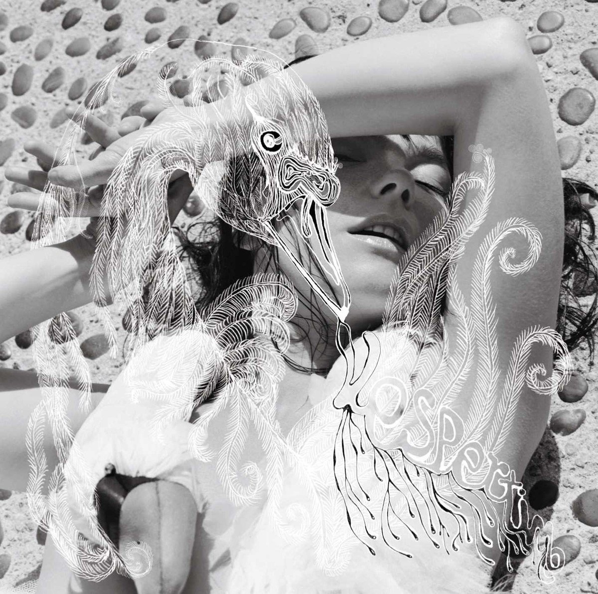 Björk - Vespertine (2 LP)