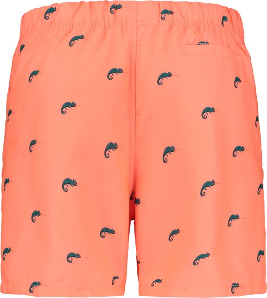 Kleding, Korte broek, Zwembroek