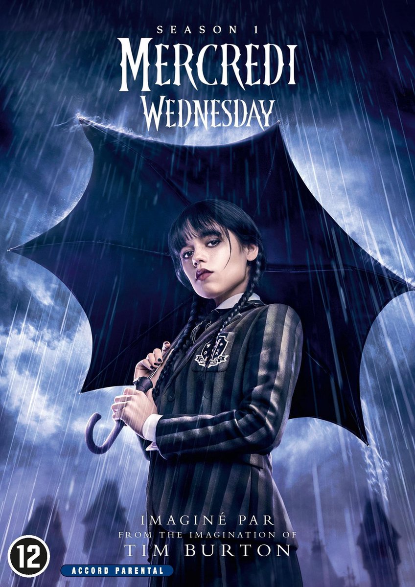 umbrella, vrouw, donker, regen, poster
